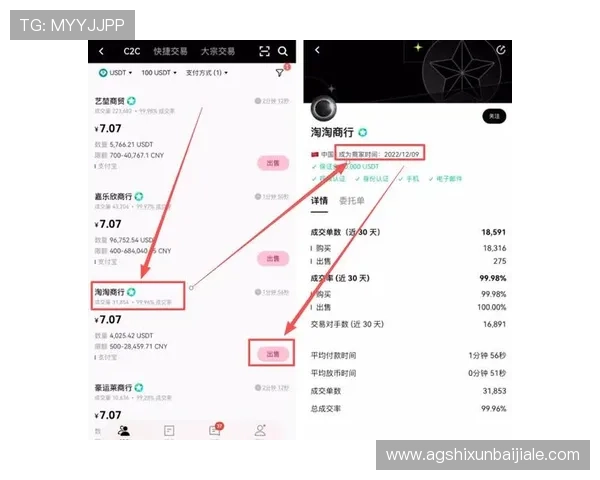 凯发体育下载ag平台多种支付方式支持，快速便捷的充值提现流程指南