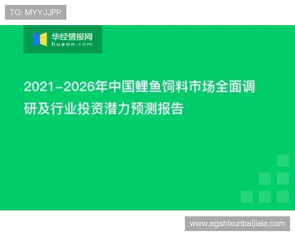 博鱼真人官方入口安全保障措施，保障玩家资金与个人信息安全