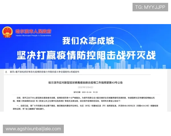 天博真人赌场奖金制度全面解析助你提升盈利的实用技巧