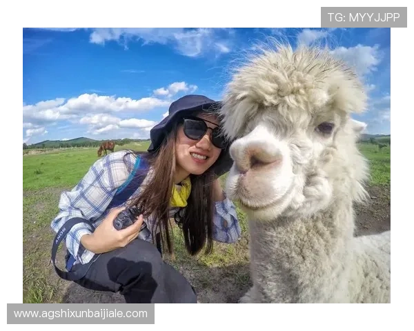 BG大游真人登录线路保障玩家顺畅体验的详细指南与最新优化方案