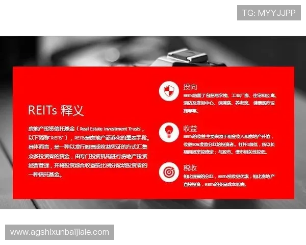 尊龙凯时百家乐赢率分析与投注技巧分享助你在百家乐中稳操胜券